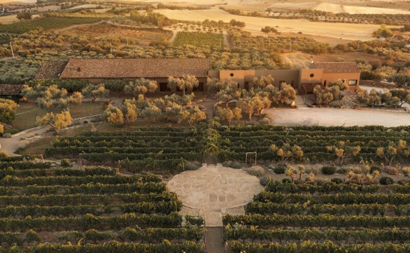 La Sardegna che non ti aspetti: natura, sapori e vini dell’entroterra